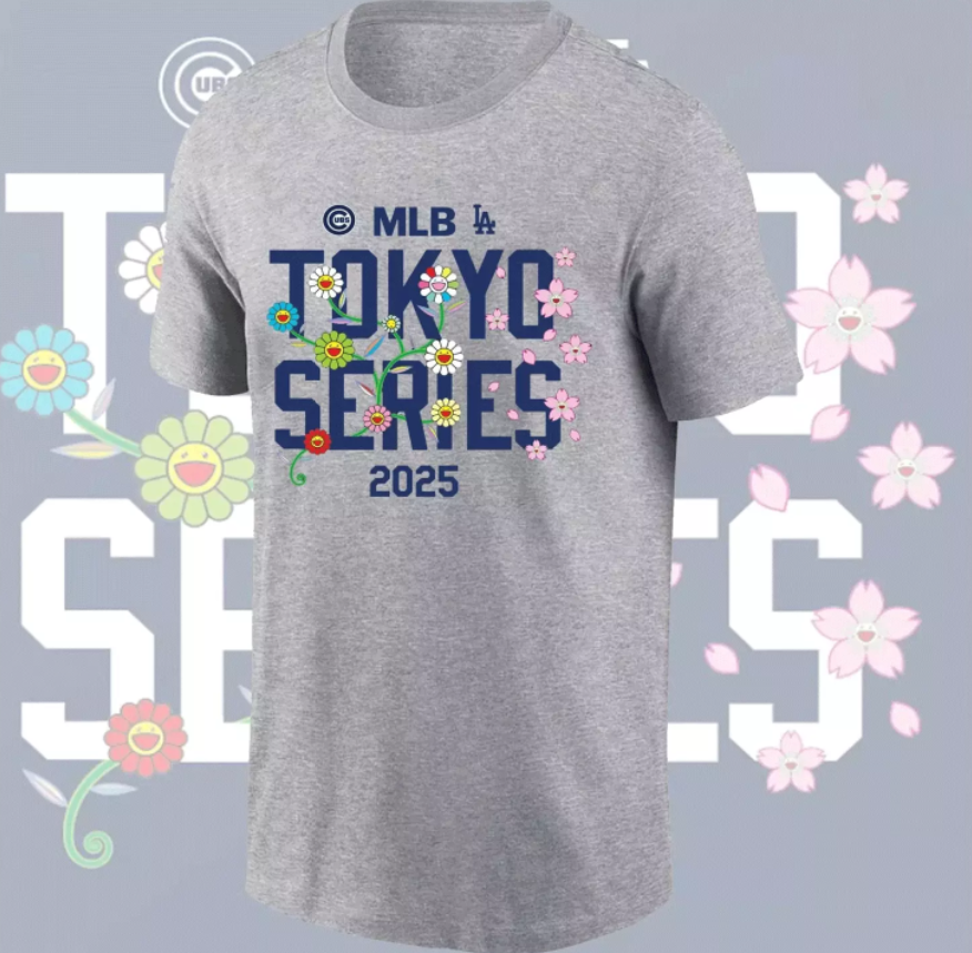 Men Chicago Cubs blank grey 2025 MLB T shirts 43